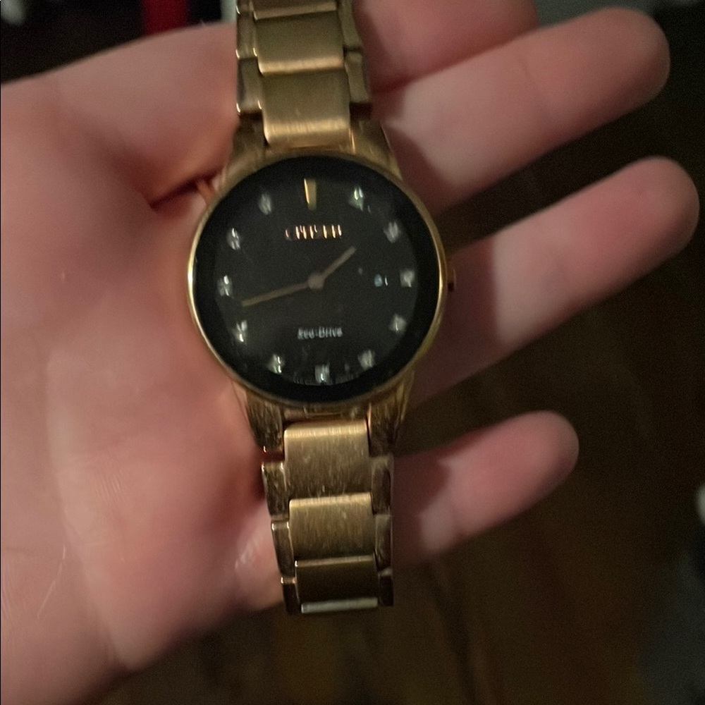 Citizen Gold and Black Jewelry